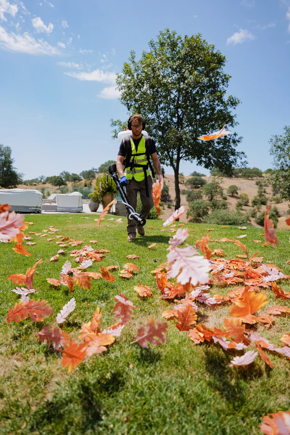 Leaves lifting off the grass in front of a backpack blower